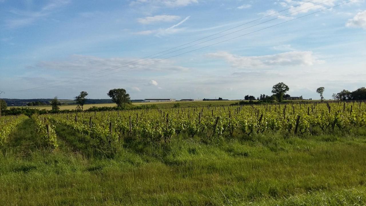 Gite-Civray-De-Touraine Maison De Denise Kültér fotó